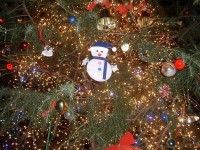 協和ハウジングさんのクリスマスイルミネーション