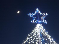睦沢・クリスマスイルミネーション